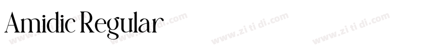 Amidic Regular字体转换 Amidic Regular字体转换